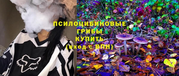 спиды Рославль