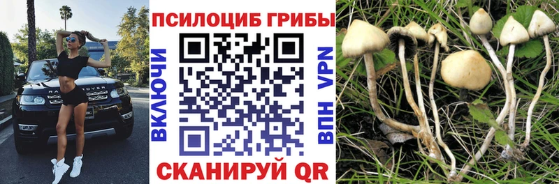 блэк спрут вход  Гулькевичи  Галлюциногенные грибы мухоморы 